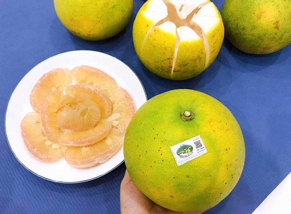 Embrace the vibrant spirit of Ha Tinh Travel adventures